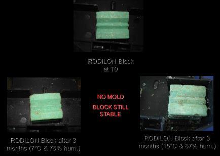 Better Stability than Competitor B+ Block Rodilon