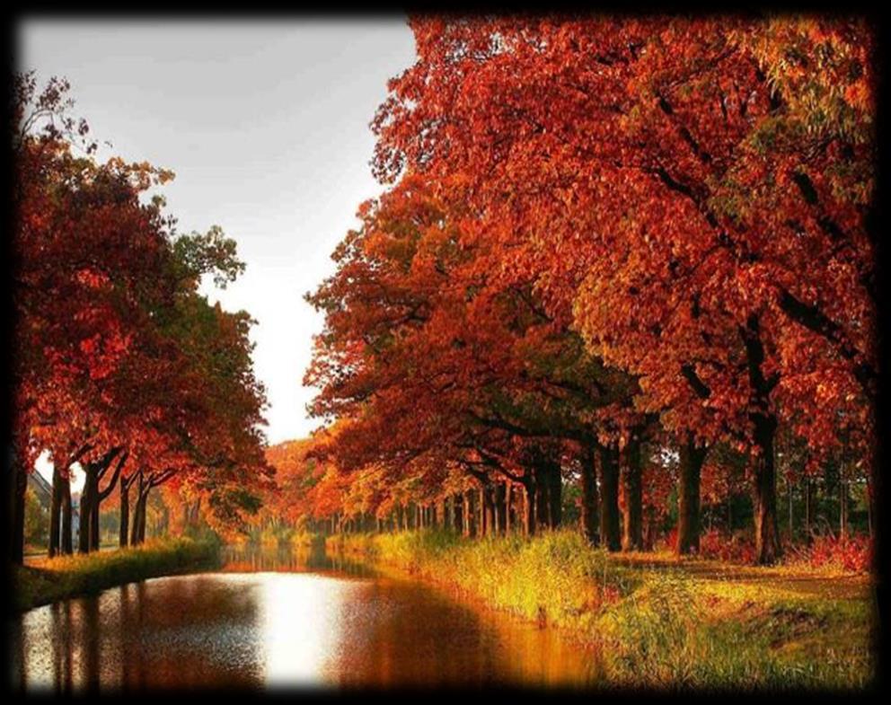 Recreatiepark Klarenbeek Recreëren in alle vier de seizoenen. Recreatiepark Klarenbeek is een absolute aanrader voor degene die van rust en stilte houden.