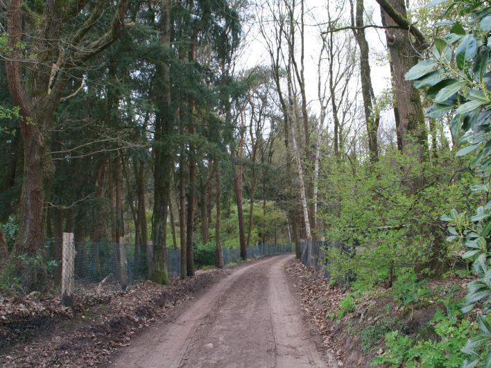 In de 20ste eeuw is ook een aantal woningen gebouwd tussen het groen.