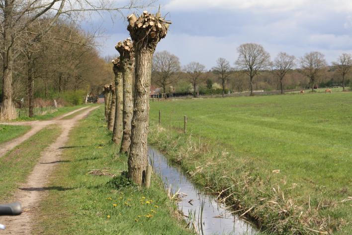 http://www.buurtboerderijhetoosterbroek.