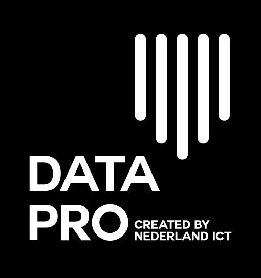 Data Pro Statement Deel 2.