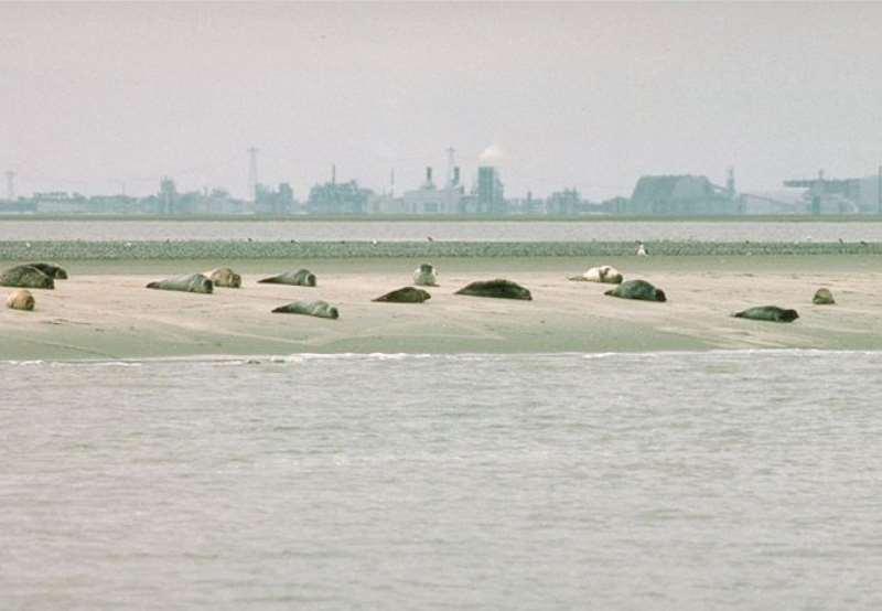 Programma Wadden zeehavens Meerjarenplan Programma Waddenzeehavens 2014-2017