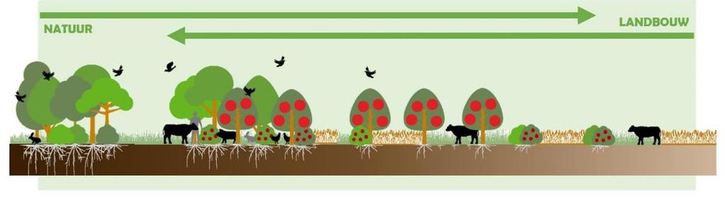 Route: natuur-inclusief (Bron: Stichting Van Akker naar Bos) Bodem bepaalt