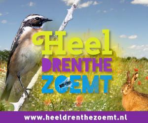 tussen beide werkgroepen. In Drenthe is de schatting dat er tussen de 150 en 200 broedparen aanwezig zijn voor de steenuilen, terwijl in Friesland 10 tot 20 broedparen zitten vermoedelijk.
