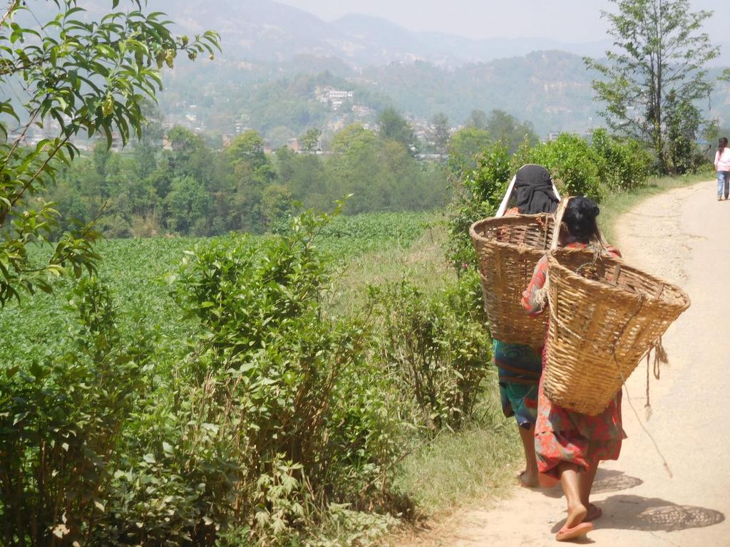 Nepal-reis Thema Health Homestay 15 dagen 440,00