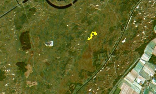 Figuur 6-2. Locatie van het meest zuidelijke deel van het Klazeweitje (geel) in de AWD.