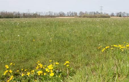 Aanleiding, doel en opgave Aanleiding en doel schetssessie Het gebiedje De Jammer (naar een betere naam wordt nog gezocht) valt onder de begrenzing van het Natuur Netwerk Nederland.