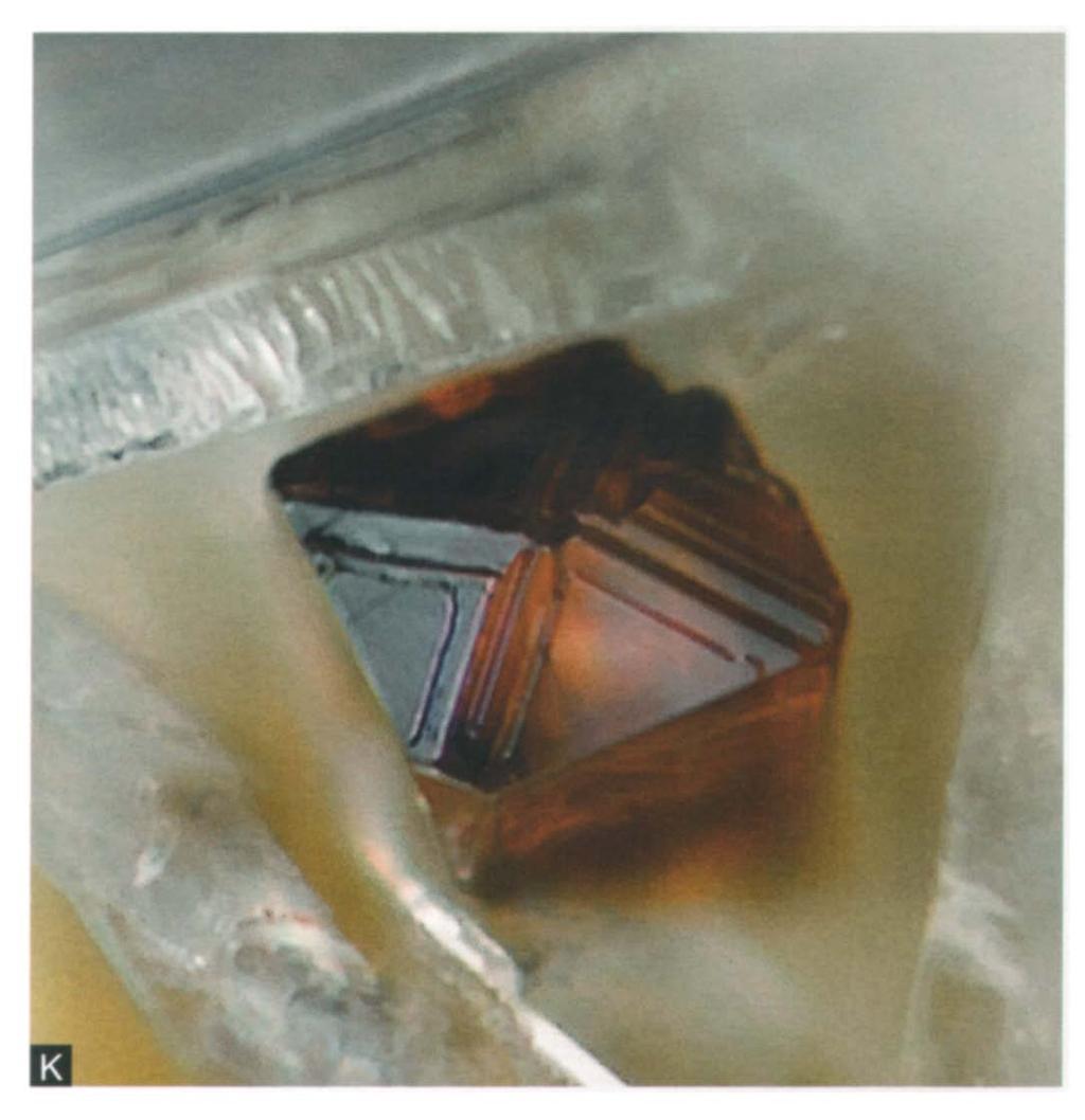 0,2 mm) dieprood, zeer kortprismatisch rutielkristal,