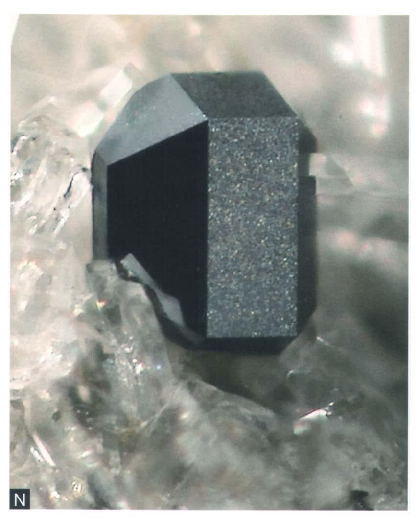 rutielkristal, met matte, gitzwarte topvlakken, te