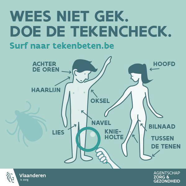 project Wees niet gek, doe de tekencheck hygiëne Er zijn heel wat misverstanden omtrent teken, tekenbeten en de ziekte van Lyme.