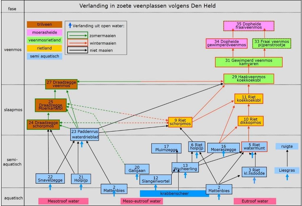 Verlanding BIOGEOCHEMICAL