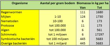 stuifzanddek Enkeerdgrond 37 38 e bodem is een ecosysteem e veelheid aan bodemorganismen Indeling