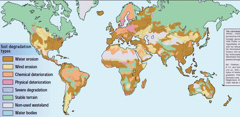 (afname van bodembiodiversiteit ook) fname