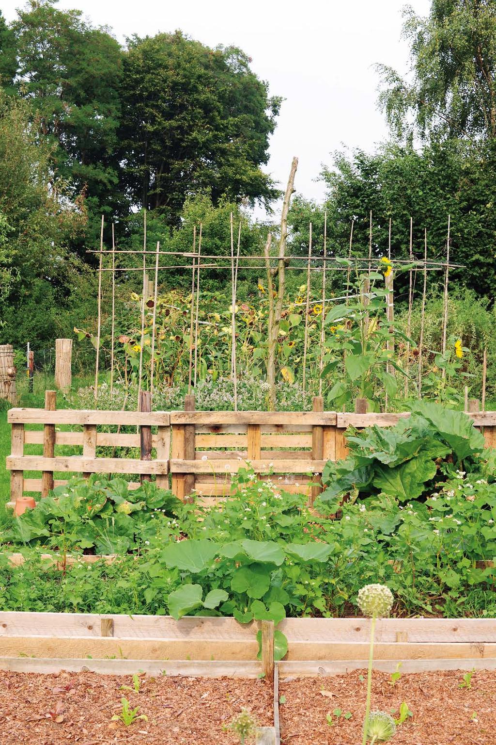 Graat neemt de tuin voor haar rekening en werkt biologisch en ecologisch. Compost en hummus maakt ze over het algemeen zelf. Bestrijdingsmiddelen? Daar doet ze niet aan.
