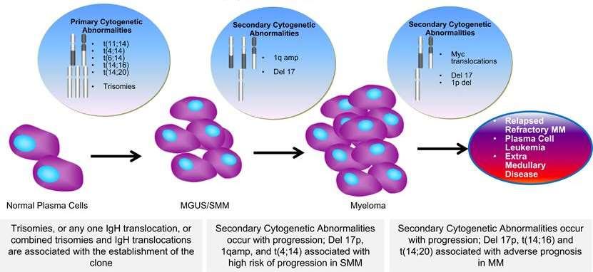 Cytogenetische abnormaliteiten (CA) en
