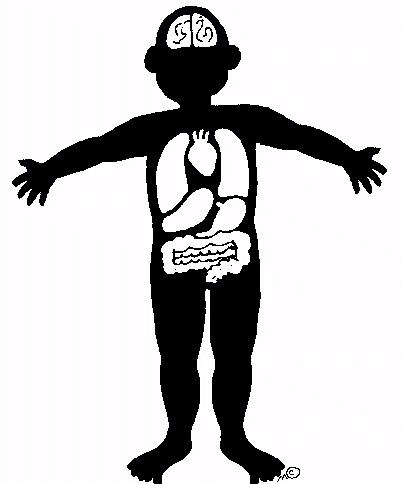 Chronische orgaanschade tgv sikkelcelziekte retinopathie CVA pulmonale