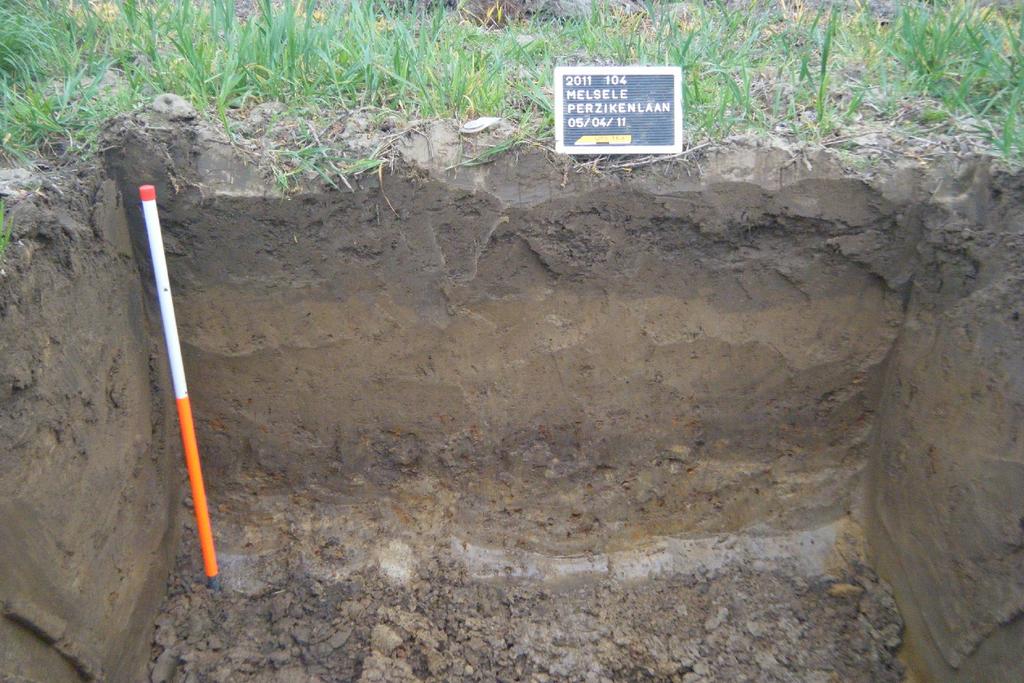 Fig. 10: Profiel 1 in werkput 3 4.2.2 Gaafheid terrein Over het grootste deel van het terrein was het bodemarchief vrij goed bewaard. 4.3 Archeologische vondsten In totaal werden 2 fragmenten van voorwerpen ingezameld, waarvan 1 afkomstig uit een geregistreerd spoor.