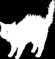 De kat strekt zijn lange staart uit (1).
