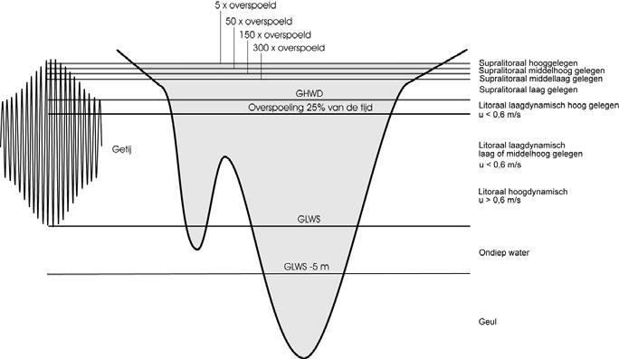 De verticale opeenvolging van de hierboven genoemde ecotopen is grafisch weergegeven in Figuur 6-