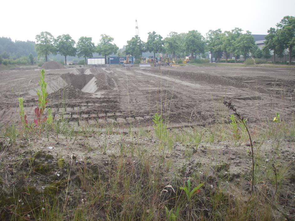 ArcheoPro Archeologisch rapport Nr 954 Ceintuurbaan, Harderwijk Gemeente Harderwijk Inventariserend