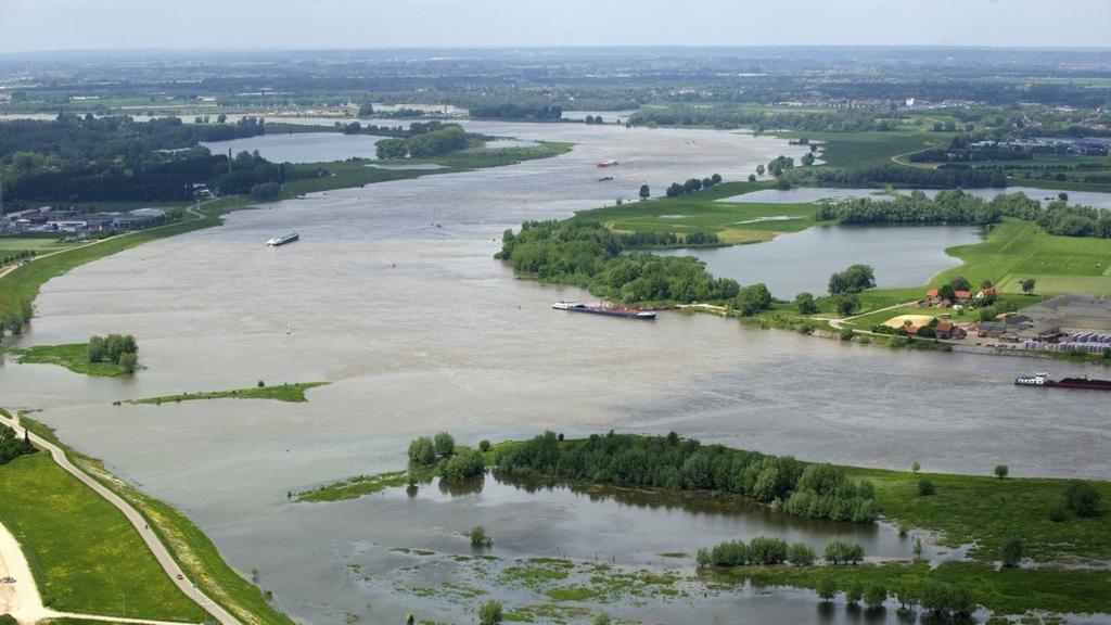 Langs de rivier vind je daarom uiterwaarden. De uiterwaarden geven de rivier de ruimte om te kunnen overstromen.