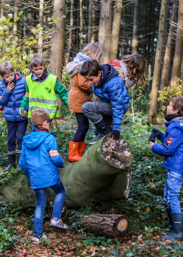 LEIESTREEK & GENT Combineer je bezoek TIP Natuur en culinaire verwennerij Begeleide natuurwandeling in De Brielmeersen Lunch met Oost-Vlaamse streekproducten in het Groot Vleeshuis Heerlijk