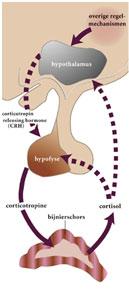 Practice 2011 3 Howren et al, Psychosom Med 2009 4 Dowlati et al, Biol Psychiatry 20 5 Liu et al, J