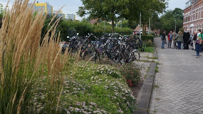 houten speeltoestellen bijvoorbeeld. Er mag best één speeltuin met een hek komen, voor de kleintjes.