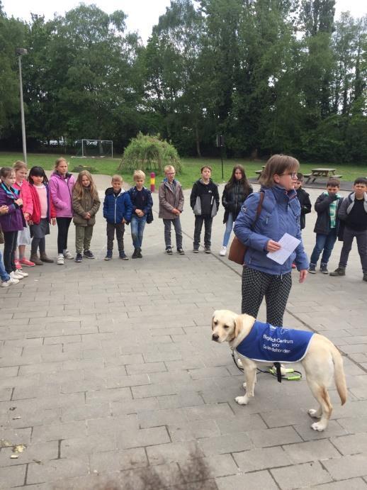 Inzamelactie tot half juni Beste ouders, Ik ben een stagiaire in het derde leerjaar van De Blokkendoos.