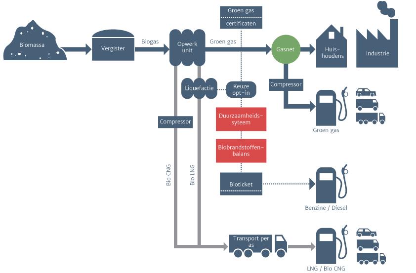 Waardeketens biogas: veel & Europees Certificering van
