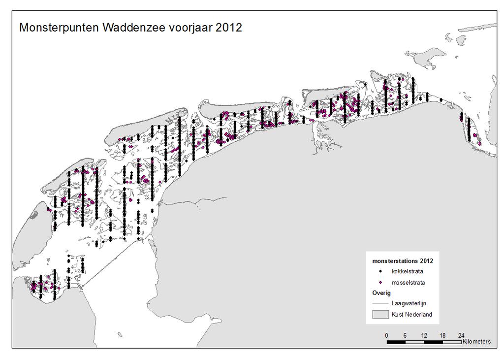 verwacht worden gebruikt om een schatting van dit deel van het mosselbestand te maken. Zie Van Zweeden et al. (2012) voor uitleg over de opzet van het kokkelgrid.