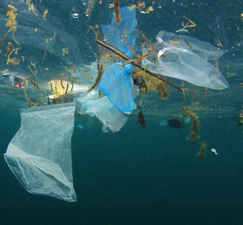 Alarm op zee! Wetenschappers schatten dat er 64.000 kilo afval (!) op de stranden in België ligt. Meer dan 95% daarvan is gemaakt van plastic.