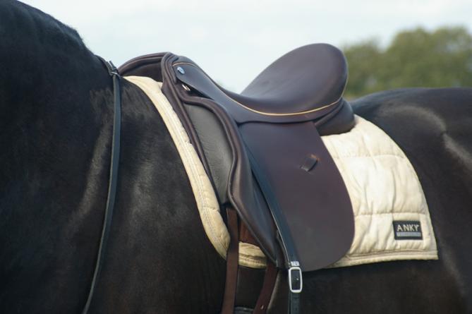 EEN PASSEND ZADEL Door: Bianca Liewes Paard Praktisch Good fit is determined by a saddle that allows the horse s back to function correctly, while, at the same time, keeping the rider in a