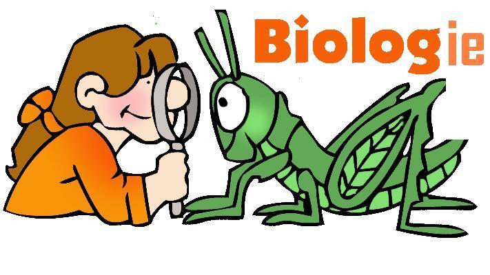 Biologie Met name gewenst / vereist in -