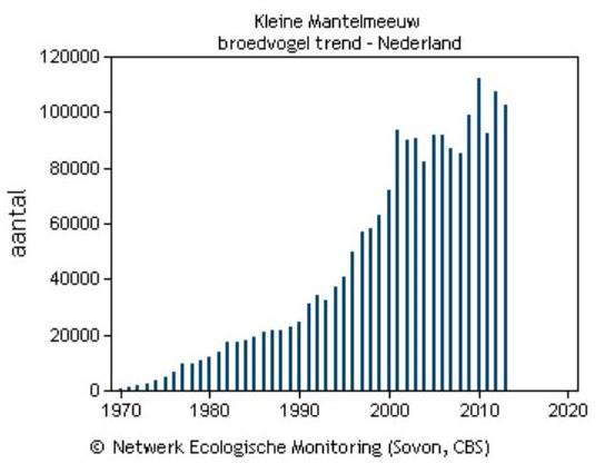 verplaatsingsgedrag van de vogels is het waarschijnlijk beter om herhaalde verplaatsingsopgaven te voorkomen.