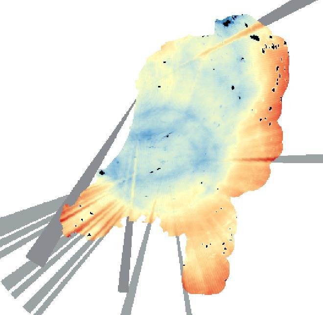 Figuur 4: Resulterende identificatie van spaken (grijze balken) en clutter (zwarte vlekken) voor de hogeresolutie radarbeelden. De neerslagsommen zijn te zien van rood (laag) naar blauw (hoog).