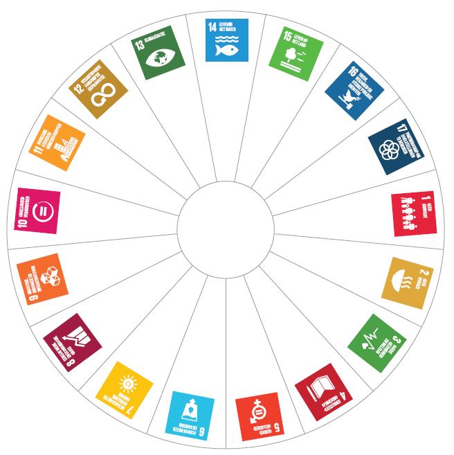 Organiseer infosessies over SDG s Stel een SDG-werkgroep samen, bv Harelbeke, Balen, Roeselare, Maak de SDG-cirkeloefening, bijvoorbeeld om acties uit te werken of af te toetsen