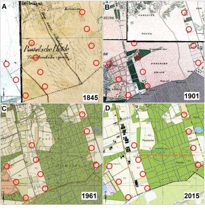 ArcheoPro Archeologisch rapport Nr 18165 Windpark Agro Wind, Reusel Gemeente Bladel Inventariserend Veldonderzoek (IVO-O); Bureauonderzoek Concept