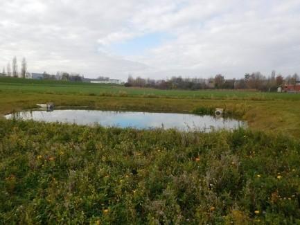 . De eerste plas zou oorspronkelijk voorzien worden van een vlot. 10