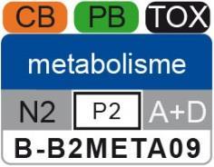METABOLISME Metabolism Coördinator: dr. L.A. (Laurens) van Meeteren Onderzoeksgroep Moleculaire Celbiologie H.R. Kruytgebouw kamer O501, tel.: 030-253 3002 e-mail: l.a.vanmeeteren@uu.nl Docenten: dr.