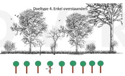 geoogst (fase 1 = eigendom