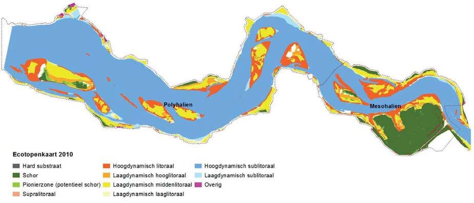 3.2 Sedimenttype Stroomsnelheid is één van de belangrijkste sturende factoren voor de verspreiding van sedimenttypen in estuaria.