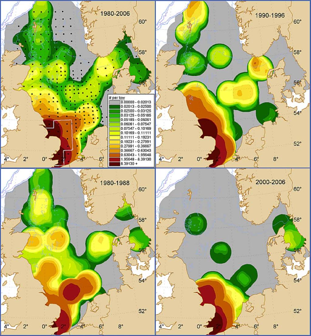 Figuur 3.8. Verspreiding van stekelrog Raja clavata in de Noordzee gedurende vier periodes en gemiddeld over de gehele periode (1980 2006), zoals gerapporteerd tijdens de Q1 IBTS survey.