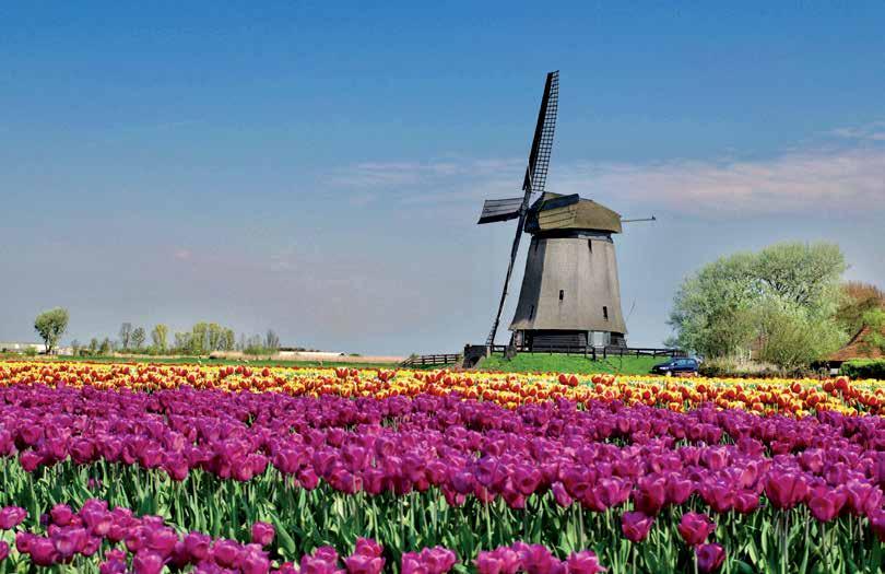 Woensdag 17 april 2019 Stadskrant Alkmaar Pagina 3 Vernieuwde molen klaar voor nieuwe seizoen Museummolen is weer open Vrijdag 22 maart was het precies 51 jaar geleden dat de Museummolen in