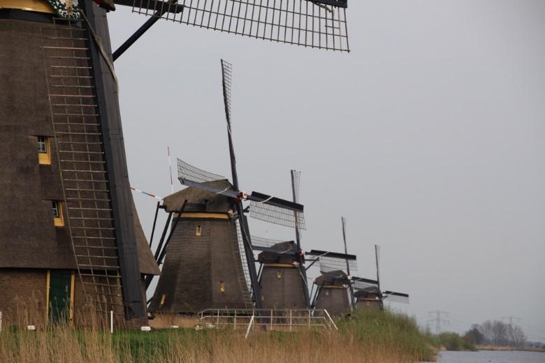 Dit betekent niet dat er rondom de molen geen ruimte is voor natuur.