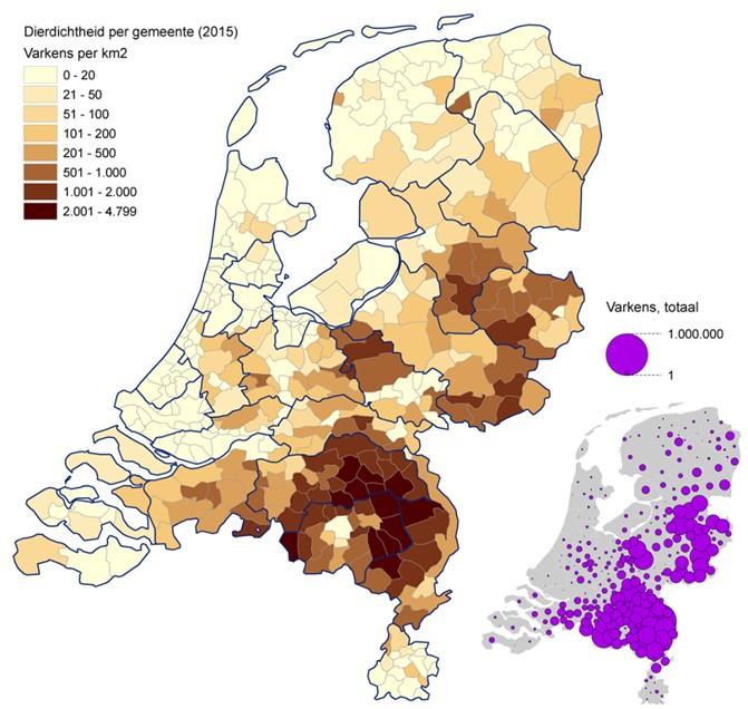 VEEHOUDERIJ IN NOORD-HOLLAND 2017 Graasdieren Aantal in Nederland Aantal in Noord-Holland % in Noord-Holland Rundvee 4.096.110 164.746 4,0% Schapen 798.833 114.027 14,3% Geiten 532.872 16.