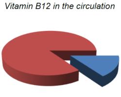 diagnose van vitamine B12 tekort: lastig!