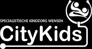 Financieel overzicht 2016 Stichting Vrienden van CityKids Samen Sterk voor zorg intensieve kinderen en hun gezinnen!