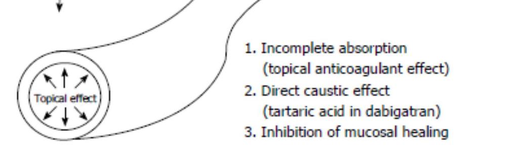 DOACs en digestieve bloedingen Risico op GIB: Dabigatran (Pradaxa) Rivaroxaban (Xarelto) Apixaban (Eliquis) Edoxaban (Lixiana) x1,58 x1,48 x 1 Vit.