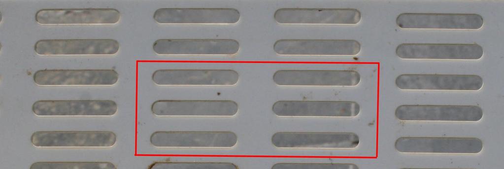 5 mm met invoeropening Nicot moerkooitje - 1x PVC verdeelplaat van 0.
